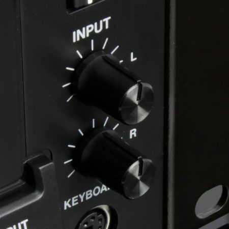 Analog Controls in Digital Devices